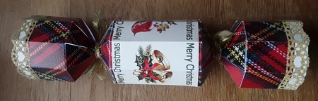 GO CRACKERS by Shirley Taylor