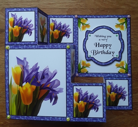 TSF Iris & tulips by Shirley Taylor