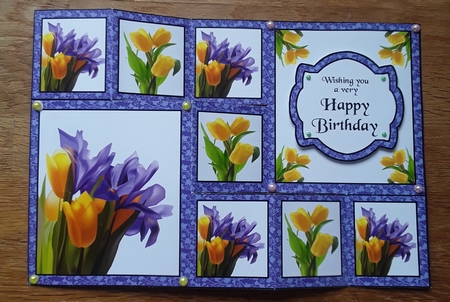 TSF Iris & tulips by Shirley Taylor