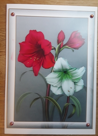 Simple Gorgeous Floral A5 49 by Shirley Taylor