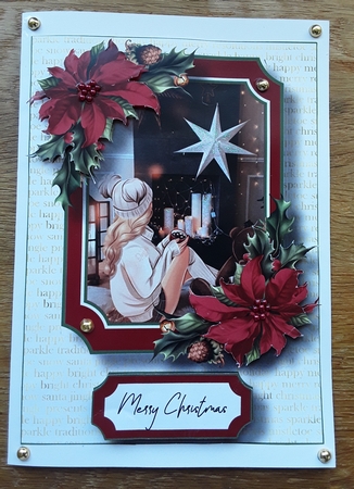 The Ladies Of Christmas 5 A5 by Shirley Taylor