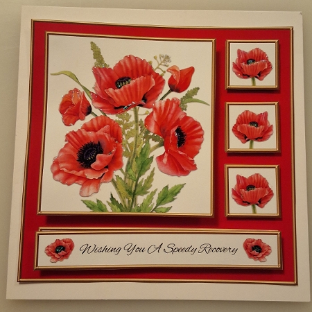Lovely Poppies - Get Well - Red by Shirley Taylor