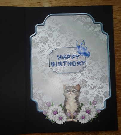 Cute Cats 4 - 7x5 inch card front with decoupage by Shirley Taylor