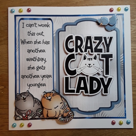 Crazy Cat Lady 5 - 6x6 inch card front with decoupage by Shirley Taylor