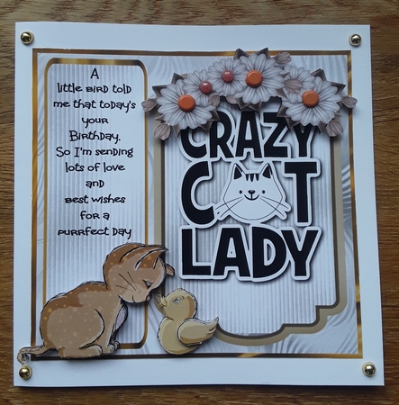Matching blank insert sheet for the design sheet - Crazy Cat Lady 6 by Shirley Taylor
