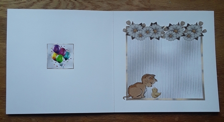 Matching blank insert sheet for the design sheet - Crazy Cat Lady 6 by Shirley Taylor