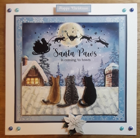 SANTA PAWS - CATS by Shirley Taylor
