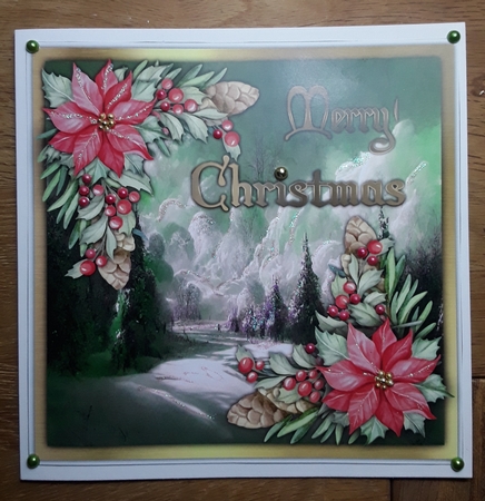 8x8 Beautiful Poinsettias in The Snow by Shirley Taylor