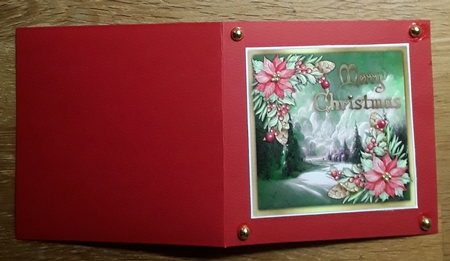 8x8 Beautiful Poinsettias in The Snow by Shirley Taylor