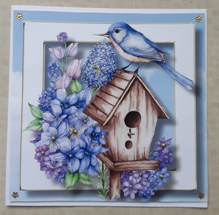 Beautiful Bird House 2  - New Home, Birthday, Mum 8x8 by Shirley Taylor