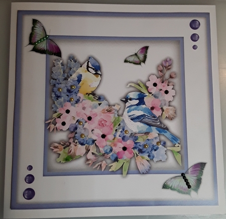 8x8 Quick Cards Beautiful Jays 1 by Shirley Taylor
