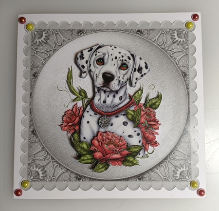 Matching insert sheet for the design sheet - Beautiful Dalmation Puppy by Shirley Taylor