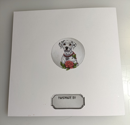 Matching insert sheet for the design sheet - Beautiful Dalmation Puppy by Shirley Taylor