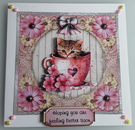 Matching insert sheet for the design sheet - Pretty Kitty 3 by Shirley Taylor