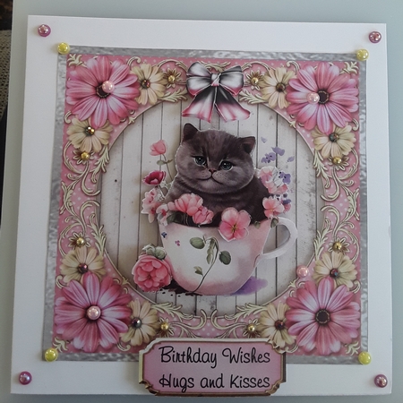 Matching insert sheet for the design sheet - Pretty Kitty 4 by Shirley Taylor
