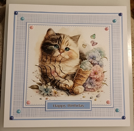 8x8 Pretty Kitty Mini Pyramage Kit - x6 A4 sheets  by Shirley Taylor