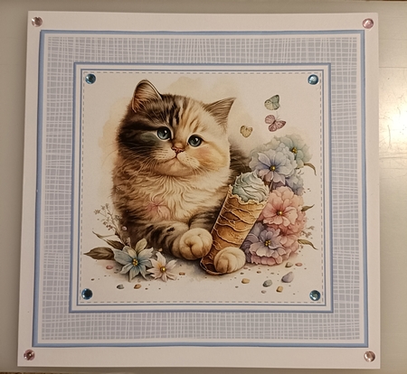 8x8 Pretty Kitty Mini Pyramage Kit - x6 A4 sheets  by Shirley Taylor