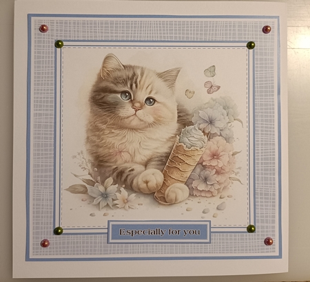 8x8 Pretty Kitty Mini Pyramage Kit - x6 A4 sheets  by Shirley Taylor
