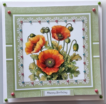 Beautiful Poppies Birthday/Get Well Topper by Shirley Taylor