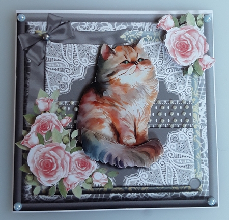 Cute Kitten and Pink Roses #2 6x6 by Shirley Taylor