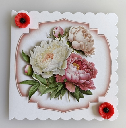 Peony Picks by Shirley Taylor