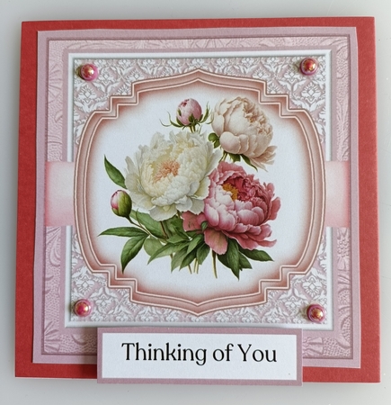 Peony Picks by Shirley Taylor