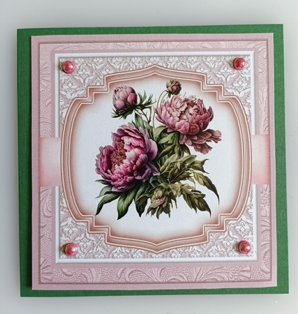 Peony Picks by Shirley Taylor