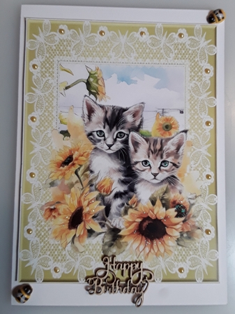 2 Sunflower kitten card fronts/toppers 1 by Shirley Taylor