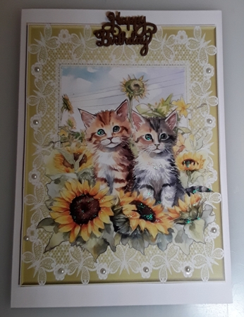 2 Sunflower kitten card fronts/toppers 1 by Shirley Taylor