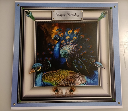 peacock by Shirley Taylor