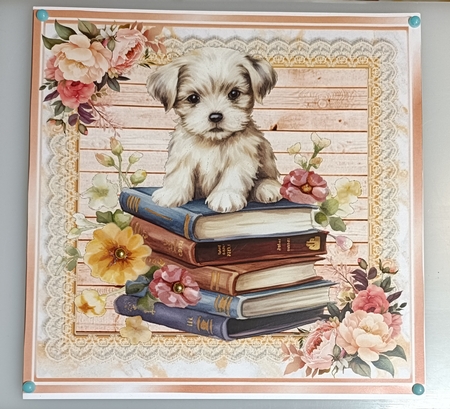 Cute Puppy With Books & Peach Lace With Flowers 8x8 (one)   by Shirley Taylor