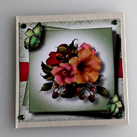 Gorgeous Hibiscus & Butterflies 8x8 by Shirley Taylor