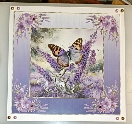 Framed lavender butterfly card front 3 by Shirley Taylor