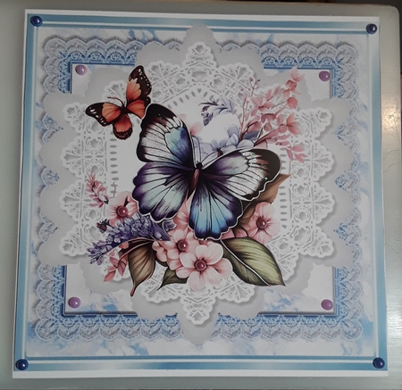Beautiful Butterflies/Flowers On Blue Lace 8X8 Frames (Two) by Shirley Taylor
