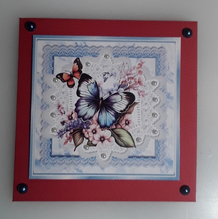 Beautiful Butterflies/Flowers On Blue Lace 8X8 Frames (Two) by Shirley Taylor