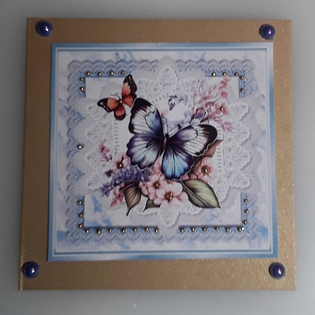 Beautiful Butterflies/Flowers On Blue Lace 8X8 Frames (Two) by Shirley Taylor
