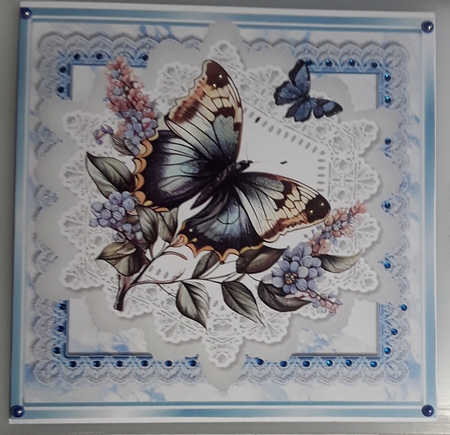 Beautiful Butterflies/Flowers On Blue Lace 8X8 Frames (Four) by Shirley Taylor