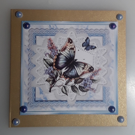 Beautiful Butterflies/Flowers On Blue Lace 8X8 Frames (Four) by Shirley Taylor