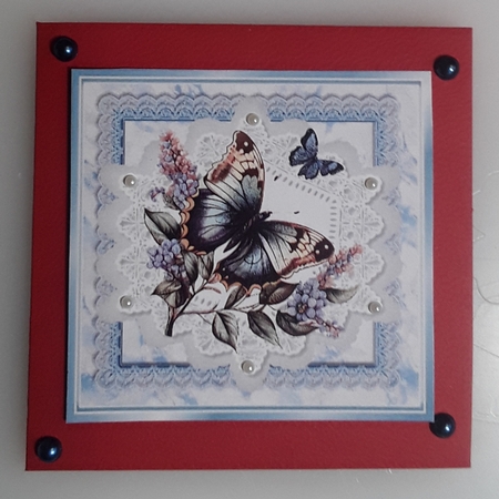 Beautiful Butterflies/Flowers On Blue Lace 8X8 Frames (Four) by Shirley Taylor