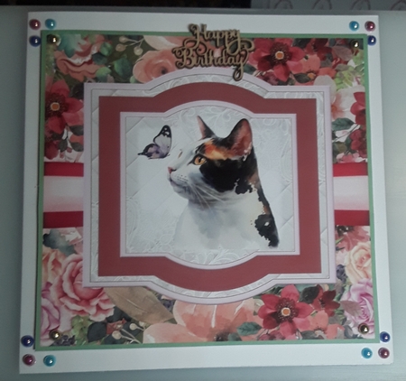 Spring Celebrations 1: Cake Shop 7 x 7 Card Mini Kit, Topper, Decoupage, Insert, Gift Card by Shirley Taylor