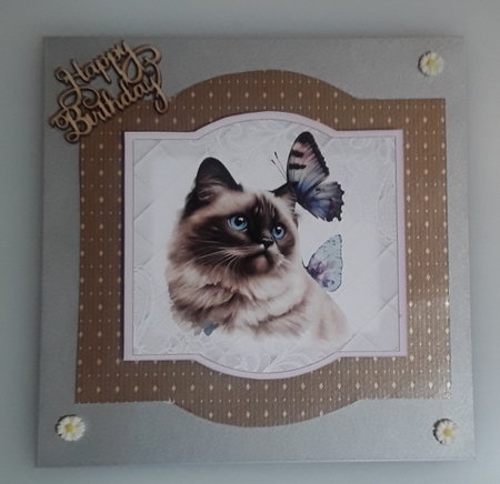 Spring Celebrations 1: Cake Shop 7 x 7 Card Mini Kit, Topper, Decoupage, Insert, Gift Card by Shirley Taylor