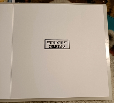 JESUS IS THE REASON FOR THE SEASON by Shirley Taylor