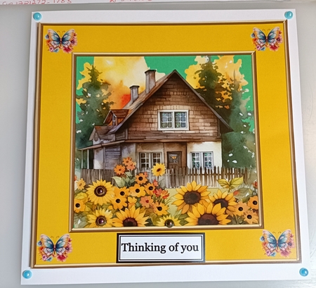 GET WELL SOON COTTAGE by Shirley Taylor