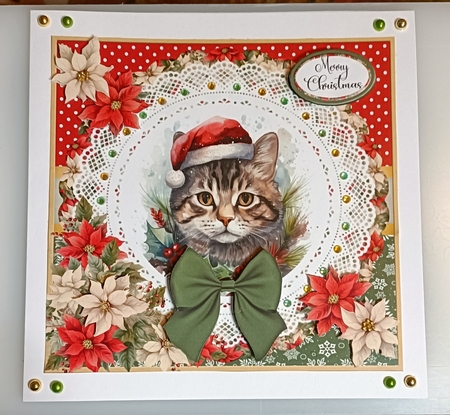 7x7 Christmas Cat by Shirley Taylor