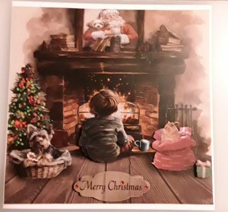 by the fire by Shirley Taylor