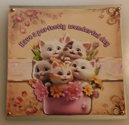 Perfectly Wonderful Day by Shirley Taylor