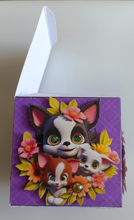 Cute Puppies Gift Box, Happy Birthday, Have a Fun Day, Hope You Feel Better by Shirley Taylor
