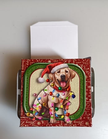 Cute Christmas Dogs Green Box by Shirley Taylor