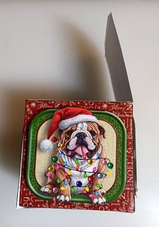 Cute Christmas Dogs Green Box by Shirley Taylor