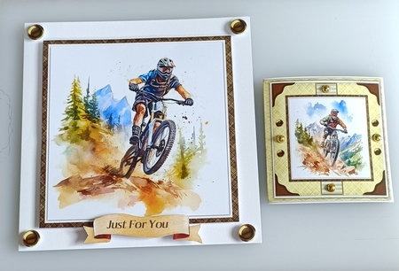 8x8 Mini Kit Extreme Sport , Mountain Bike by Shirley Taylor